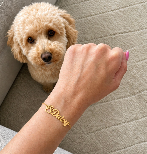 Customisable Dog Bracelet